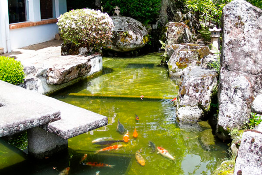 matsubara campos do jordão