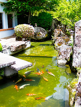 matsubara campos do jordão